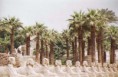 /album/galerie-de-photos-karnak/karnak4-jpg/