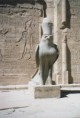 /album/edfou/horus2-jpg/